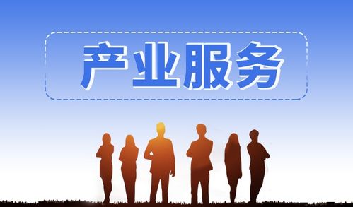 斯百德信息技术咨询服务 专业智库支持与产业项目对接